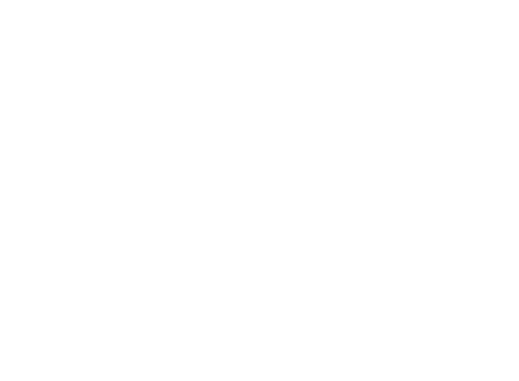 Frankfurt Capital Group